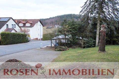 Grasellenbach Wohnungen, Grasellenbach Wohnung mieten