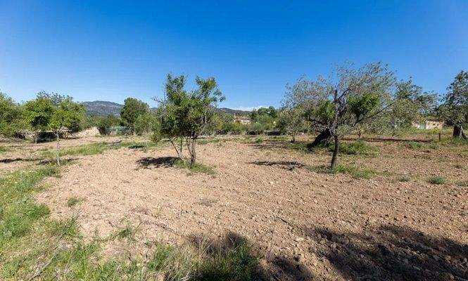 Finca zum Ausbau zwischen Santa Maria und Alaró zu verkaufen, Mallorca