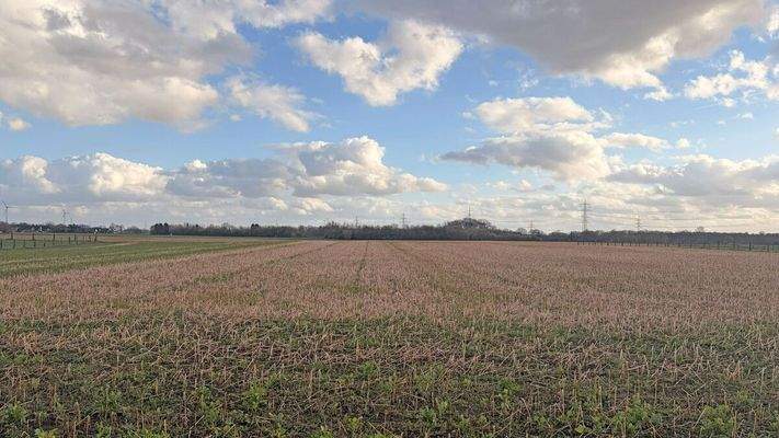 Landwirtschaftsfläche