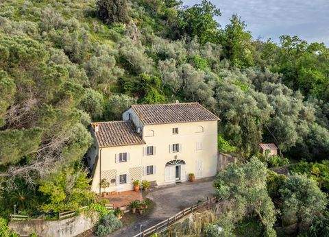 Calci Häuser, Calci Haus kaufen