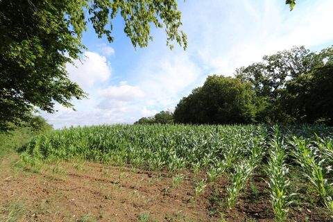 Auetal / Antendorf Bauernhöfe, Landwirtschaft, Auetal / Antendorf Forstwirtschaft