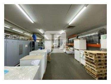 Sankt Peter-Ording Halle, Sankt Peter-Ording Hallenfläche