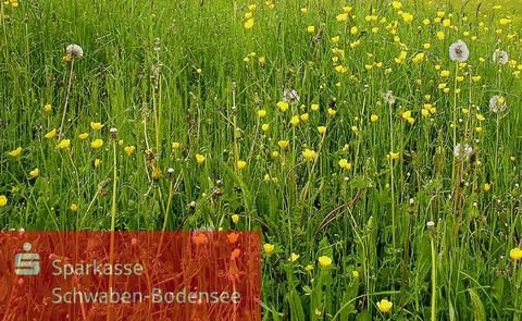 Oberrieden Bauernhöfe, Landwirtschaft, Oberrieden Forstwirtschaft