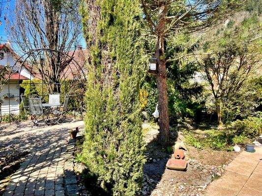 Garten-/Terrassebereich