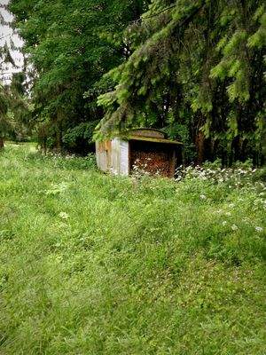 Geiersberg  – 98528 Suhl-Goldlauter