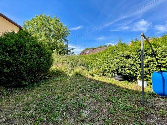 Garten hinter dem Haus