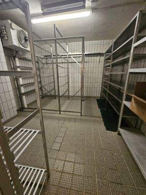 WhatsApp Image 2026-01-16 at 11.06.01 (1).jpeg