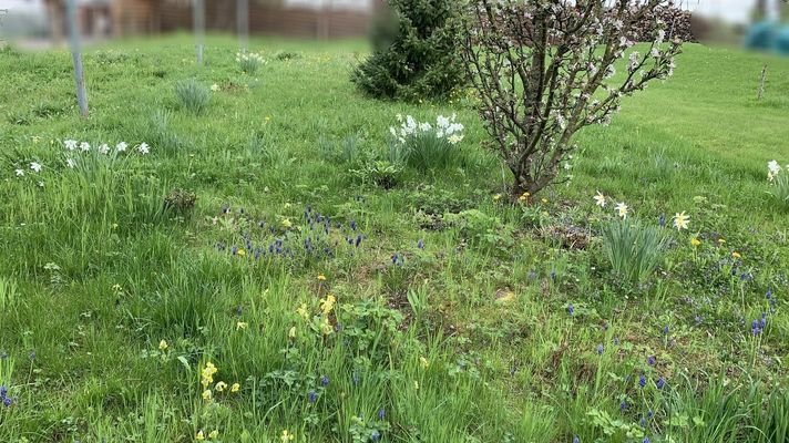 Gartenbereich
