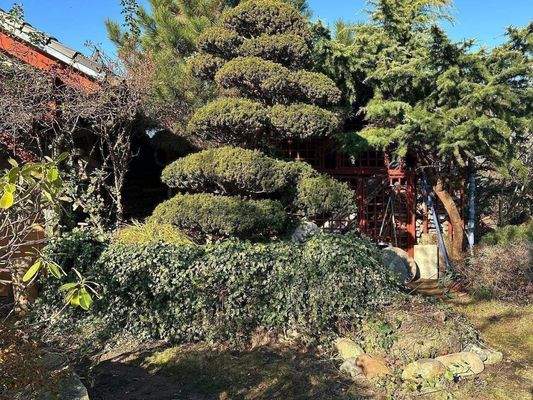 Haus-Grundstück 19.JPG