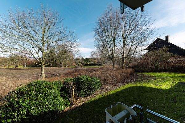 SINKO Buchenknick-9.jpg