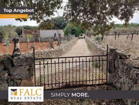 Costitx Grundstücke, Costitx Grundstück kaufen