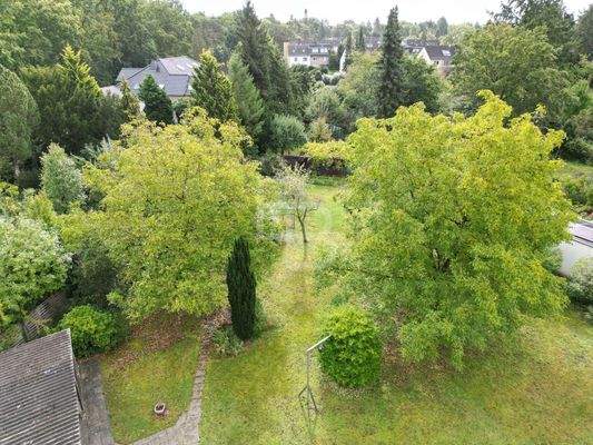 Ihr künftiger Blick?