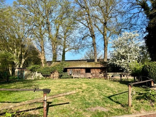 Blick in den Garten