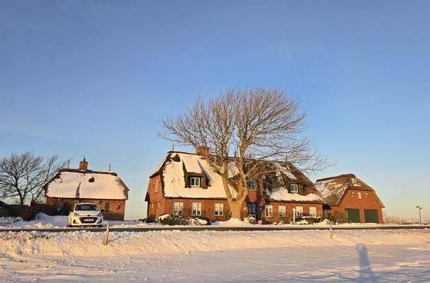 Links ein Nebengebäude mit Technik und Sauna, rechts mit Appartement und Doppelgarage.jpg
