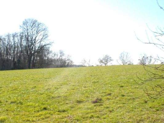 9b Garten + Terrassenblick