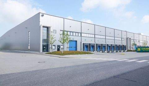 Hamburg Halle, Hamburg Hallenfläche