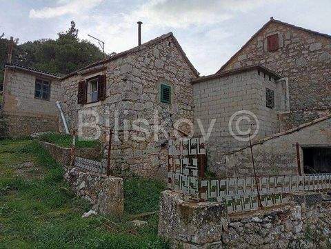 Stari Grad Häuser, Stari Grad Haus kaufen