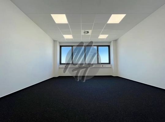 INFOS UNTER: 06171-586000