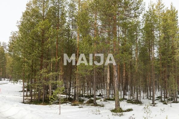 https://d2archx3akf346.cloudfront.net/promotion_image_wm_maija/665682/67f7af4773ac4561393114.jpg