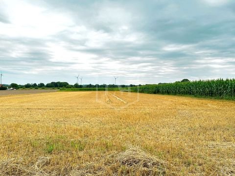 Hamm Bauernhöfe, Landwirtschaft, Hamm Forstwirtschaft