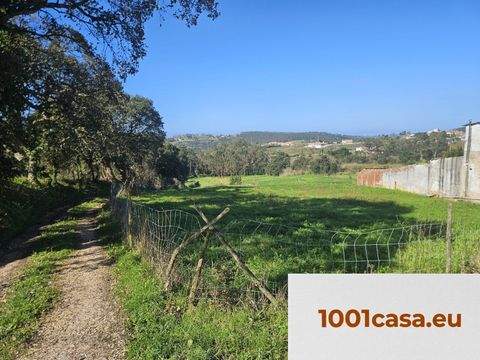 Guisado Grundstücke, Guisado Grundstück kaufen