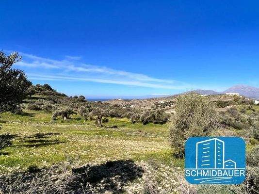 Kreta, Kamilari: Grundstück in traumhafter Lage mit Meer- und Bergblick zu verkaufen