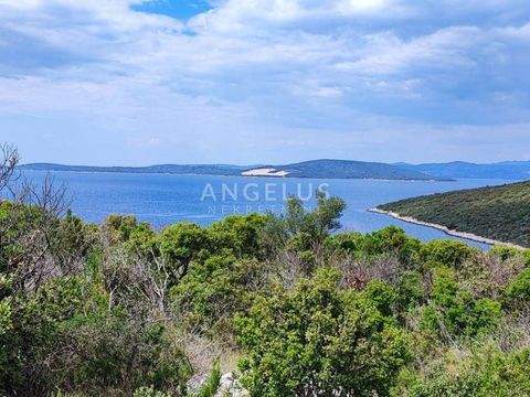 Solta Bauernhöfe, Landwirtschaft, Solta Forstwirtschaft
