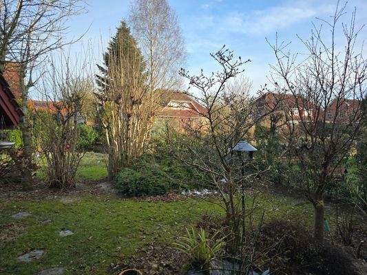 Der pflegeleichte Garten