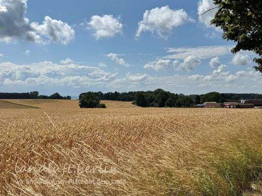 Blick über die Felder Richtung Haff, rechts im Bi