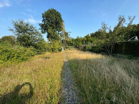 Blick in den großen Garten