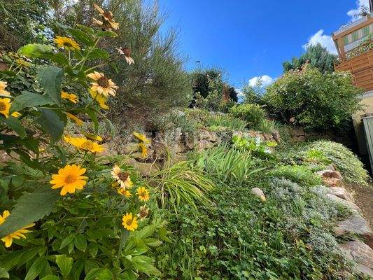 Terrassenförmige Anlage zur Einliegerwohnung gehörig