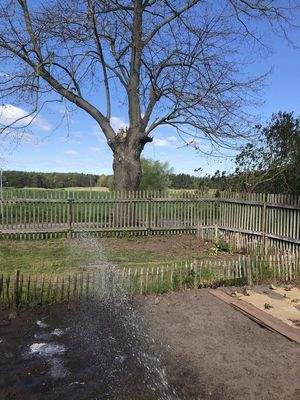 Eichenzaun zur Straße