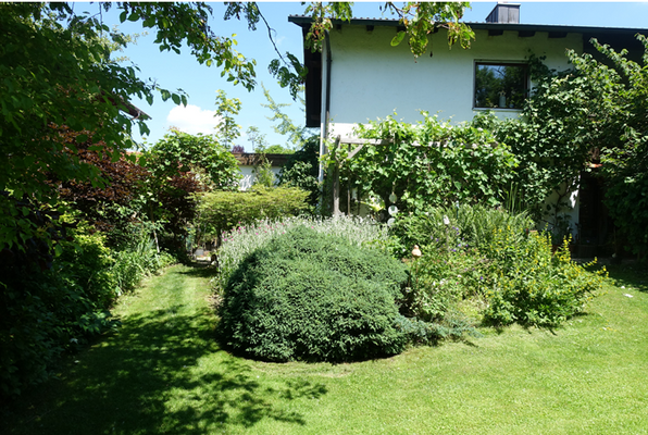 Garten im Sommer