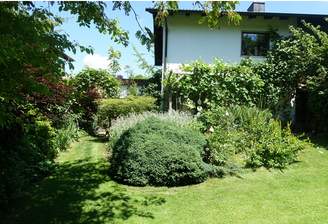 Garten im Sommer