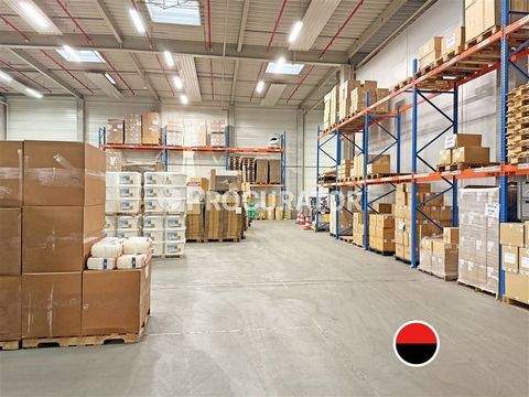 Hamburg Halle, Hamburg Hallenfläche