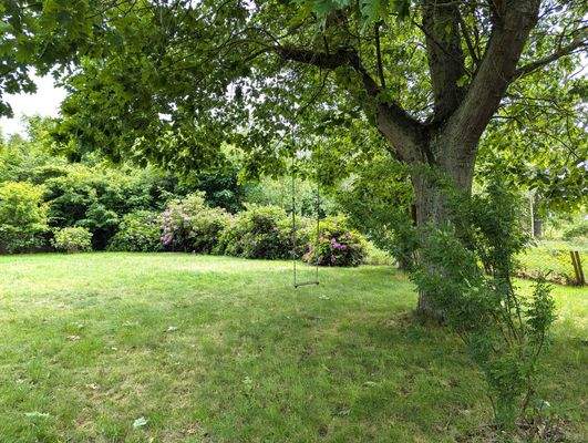 Blick von der Süd-Terrasse