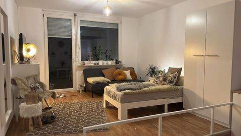 Freiburg Wohnungen, Freiburg Wohnung mieten