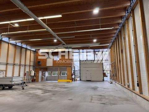 Niedernhall Halle, Niedernhall Hallenfläche