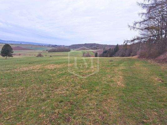 Grünland samt Gehölz