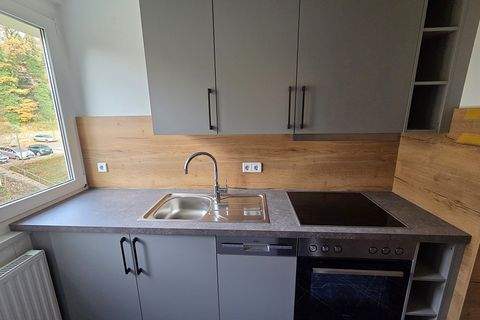 Hohenstein-Ernstthal Wohnungen, Hohenstein-Ernstthal Wohnung mieten