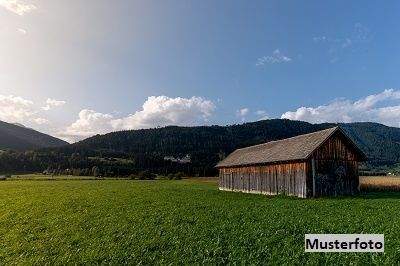 Keine Originalbilder