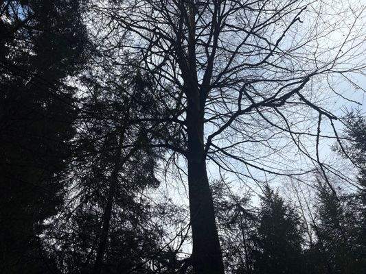 2026-02-12 13.47.05.jpg