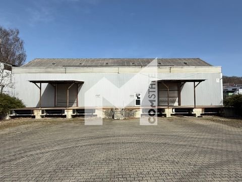Köln Halle, Köln Hallenfläche