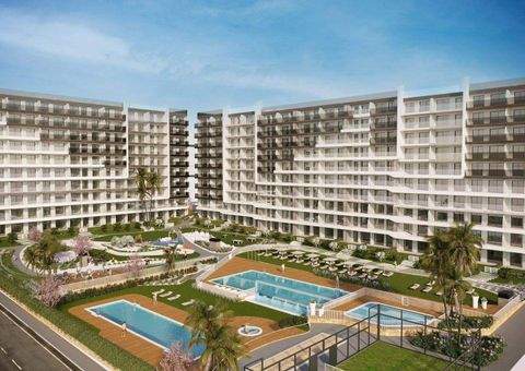 Torrevieja Wohnungen, Torrevieja Wohnung kaufen