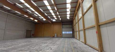 Kassel Halle, Kassel Hallenfläche