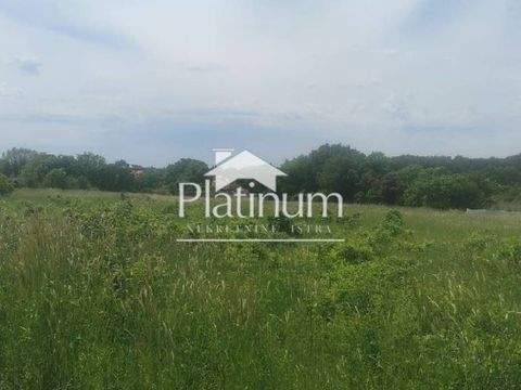 Liznjan Bauernhöfe, Landwirtschaft, Liznjan Forstwirtschaft