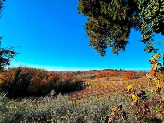 Liegenschaft Manzano (61)