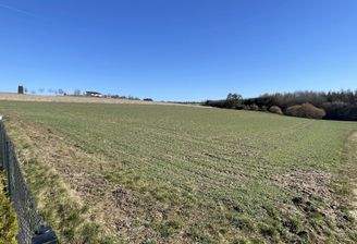 Blick auf das Baugrundstück