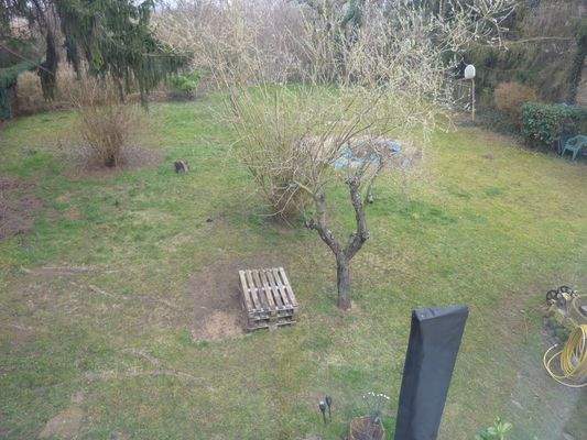 Pachtfläche / Garten direkt angrenzend