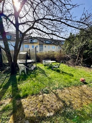 Blick in den Garten 